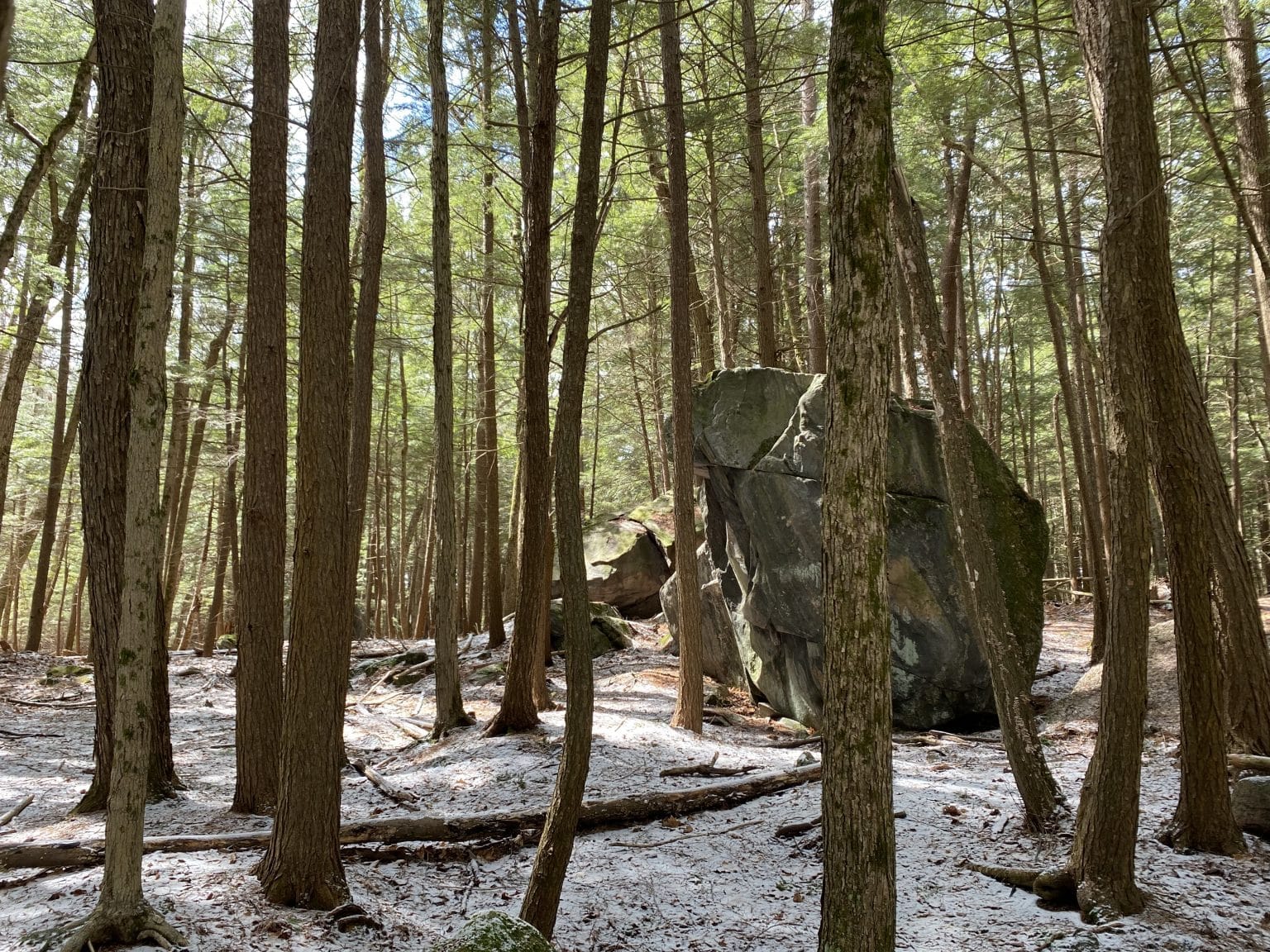 Glacial eratic by Hardy Lake Glacial Erratic, Hardy Lake