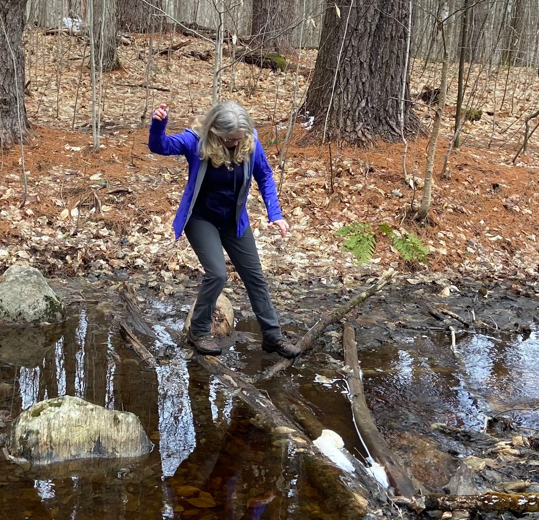 Sue crossing Creek Crossing the creek, Muskoka