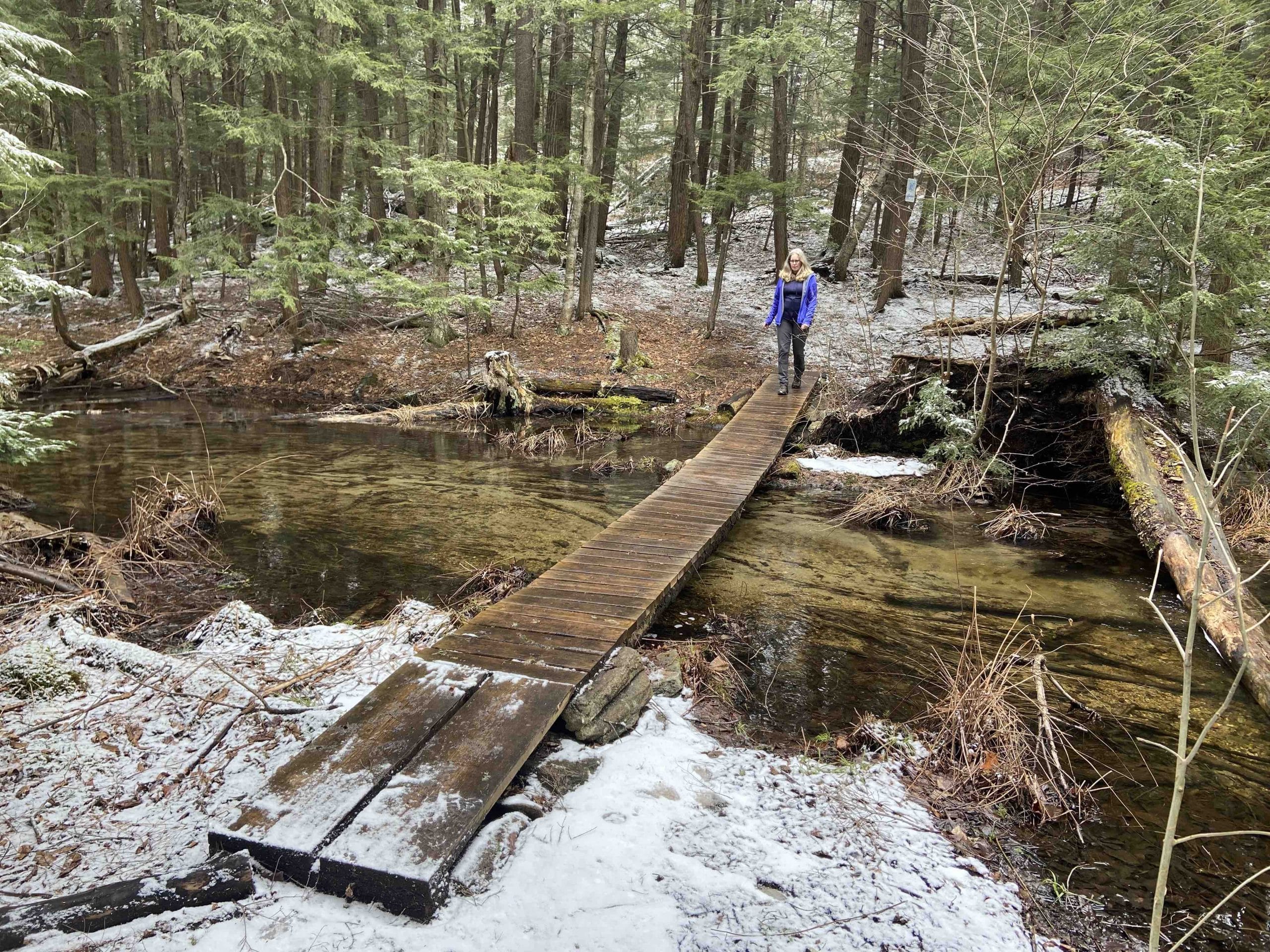 Sue on bridge Hardy Lake Park Bridge at Hardy Lake Park, Muskoka
