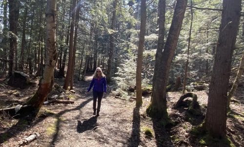 Hiking trails in Bracebridge