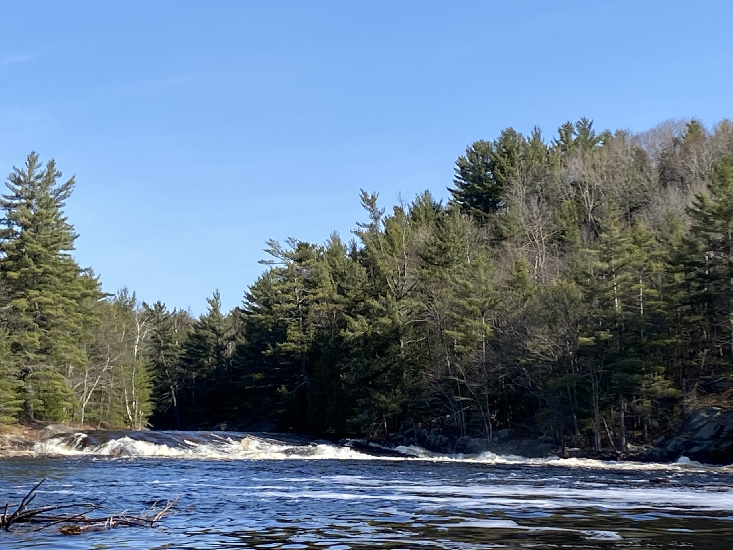 Duck Shoots, Bracebridge Duck Shoots, Muskoka River