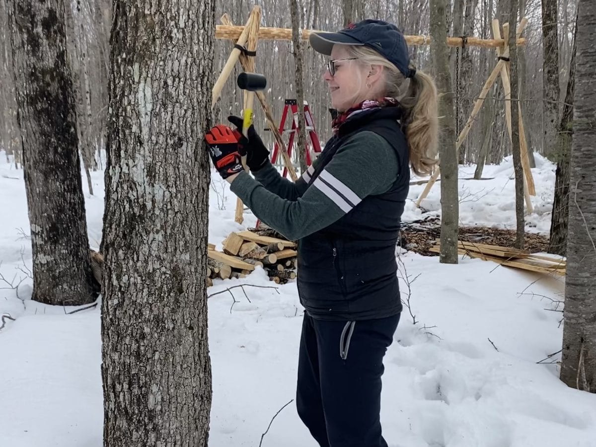 Sue tapping Sue Jamison tapping trees near Horn Lake