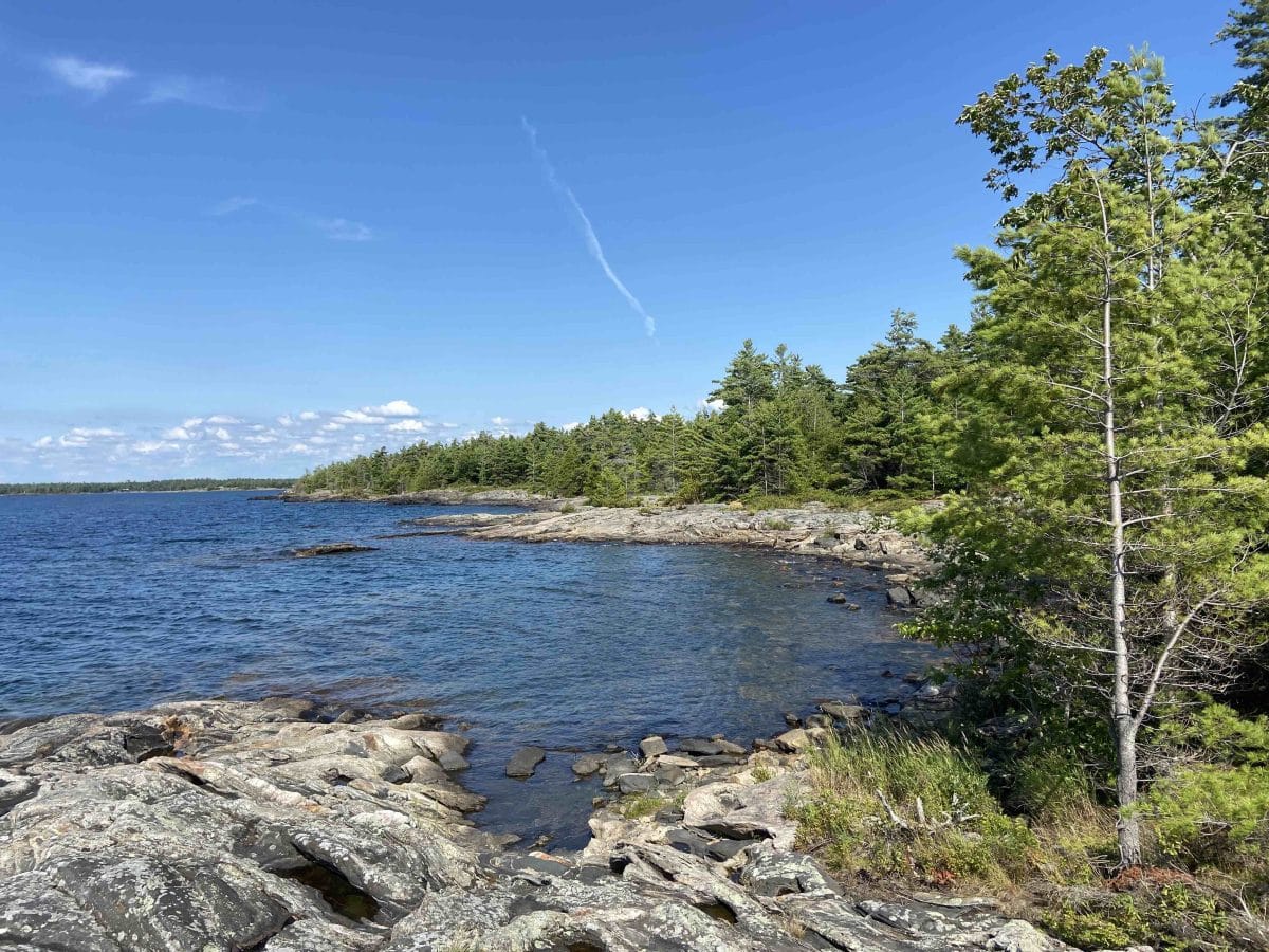 Winter Real Estate Market in 2024