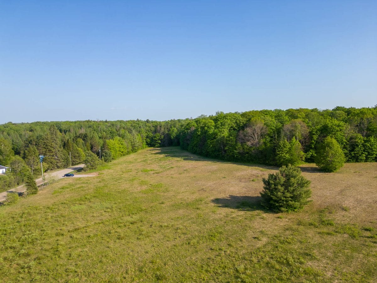 Field view of Magnetawan property listing
